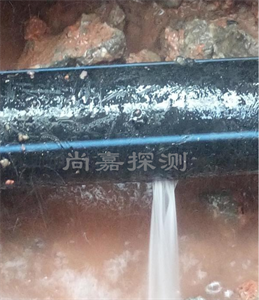 东源消防管道漏点探测