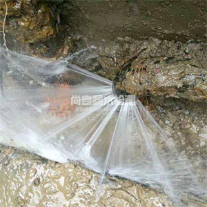 东源自来水管道漏点检测